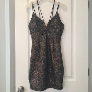 NWT Tobi Dress